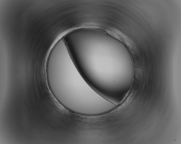 X0000088191192200705150953