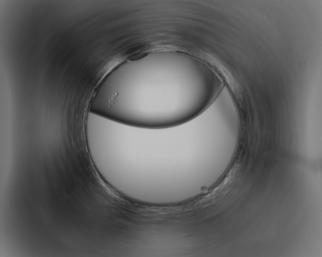 X0000088191193200705150953