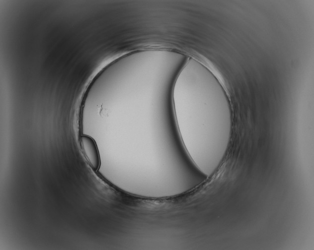 X0000088191195200705150953