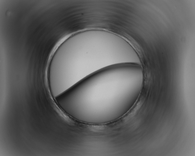 X0000088191196200705150953