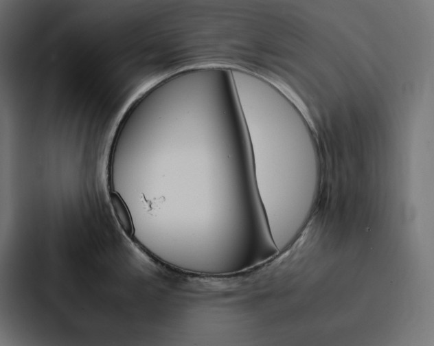 X0000088191197200705150953