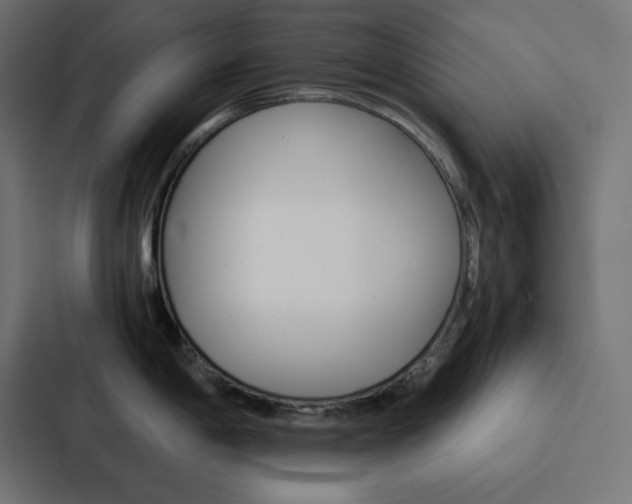 X0000088191198200705150953