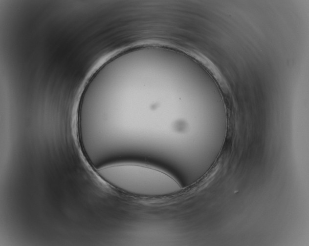 X0000088191199200705150953