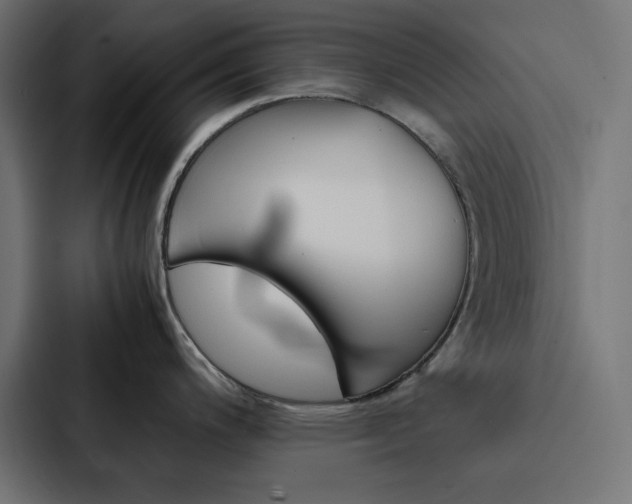 X0000088191200200705150953