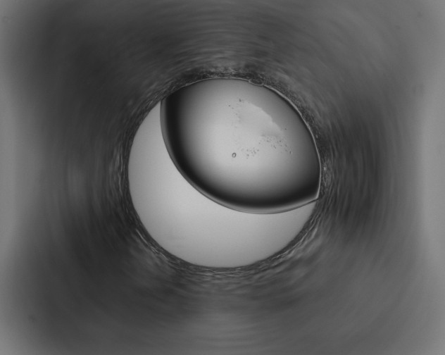 X0000088191202200705150952