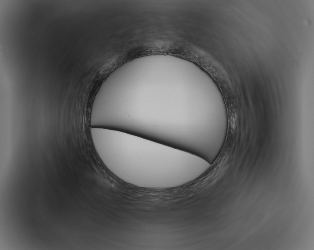 X0000088191204200705150952