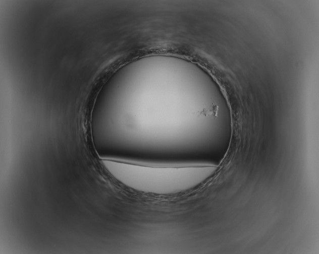 X0000088191206200705150952
