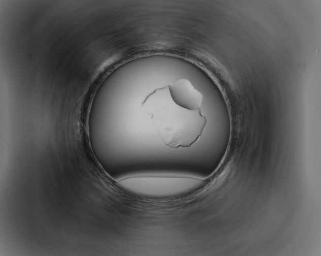 X0000088191210200705150952