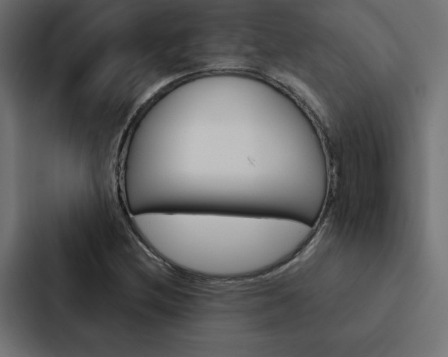 X0000088191212200705150952