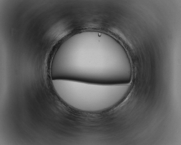 X0000088191213200705150952