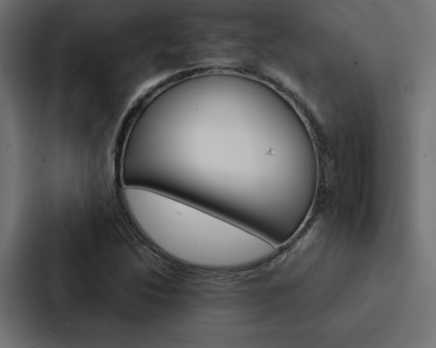 X0000088191214200705150952