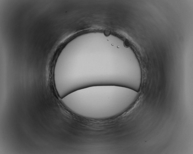 X0000088191215200705150952
