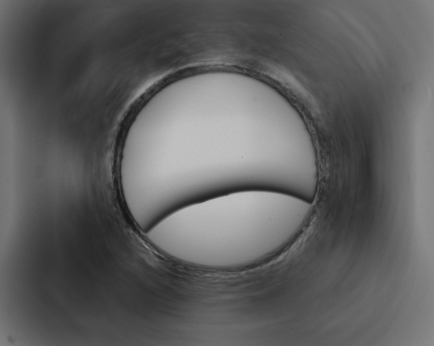 X0000088191216200705150952