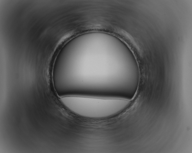 X0000088191218200705150953