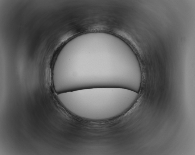 X0000088191219200705150953