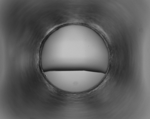 X0000088191220200705150953