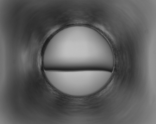 X0000088191221200705150953