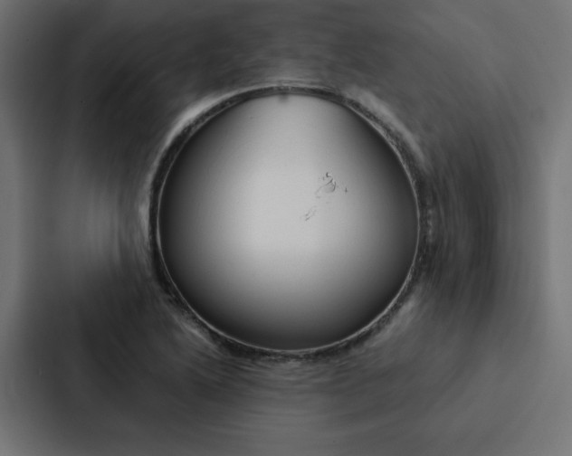 X0000088191222200705150953