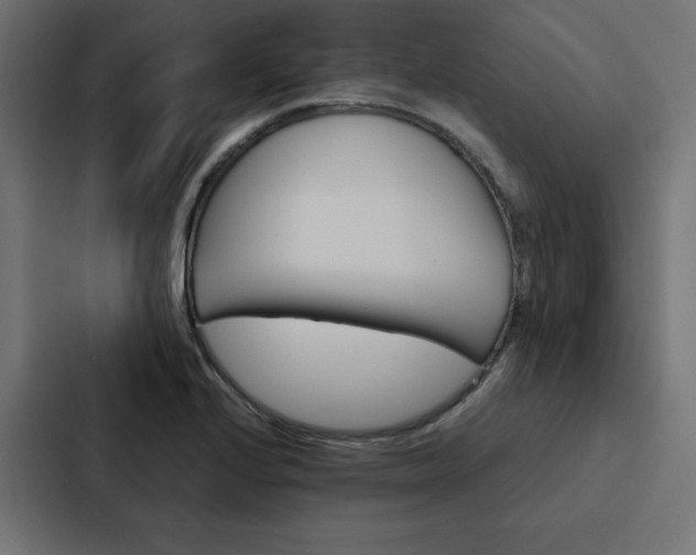 X0000088191224200705150953