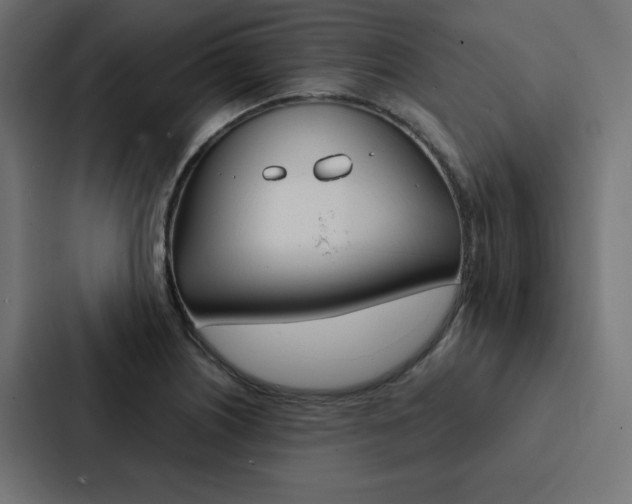 X0000088191226200705150953