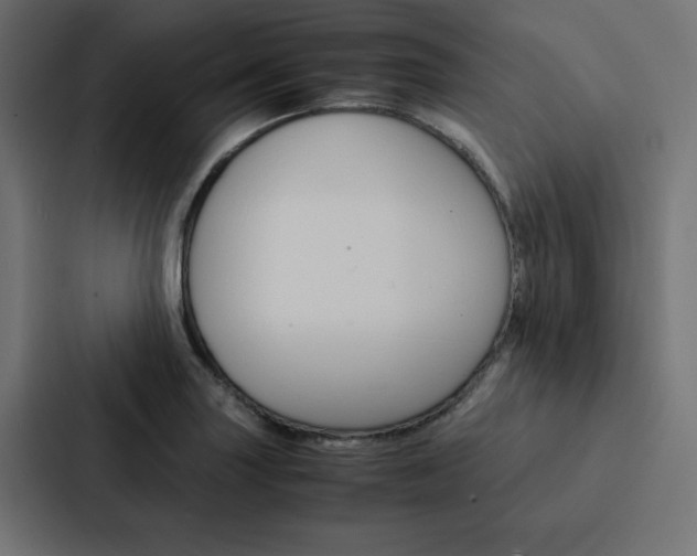 X0000088191227200705150953