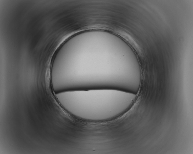 X0000088191228200705150953