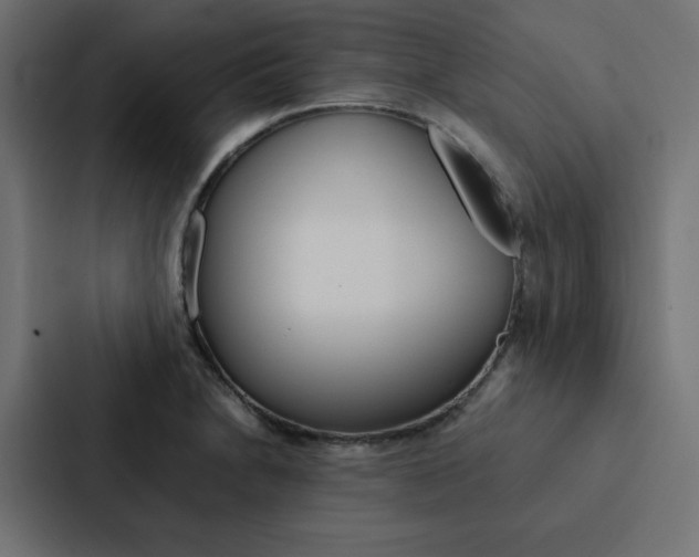 X0000088191230200705150953