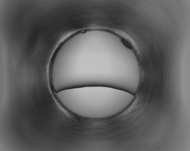 X0000088191231200705150953