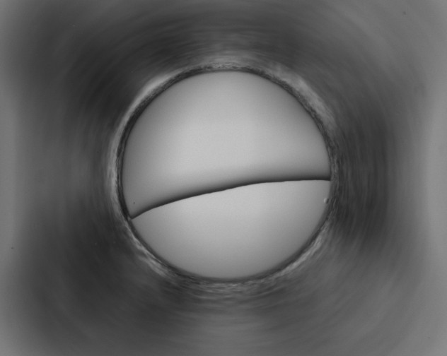 X0000088191232200705150953