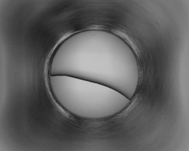 X0000088191235200705150953