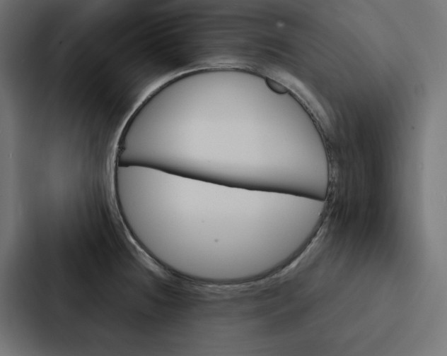 X0000088191236200705150953