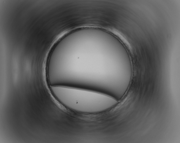 X0000088191237200705150953