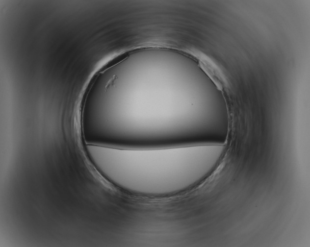 X0000088191238200705150953