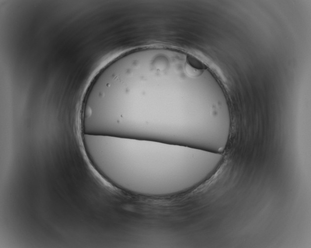 X0000088191239200705150953