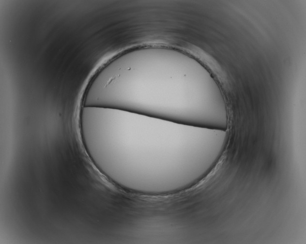 X0000088191240200705150953