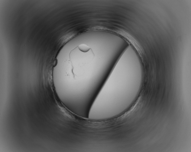 X0000088191241200705150953