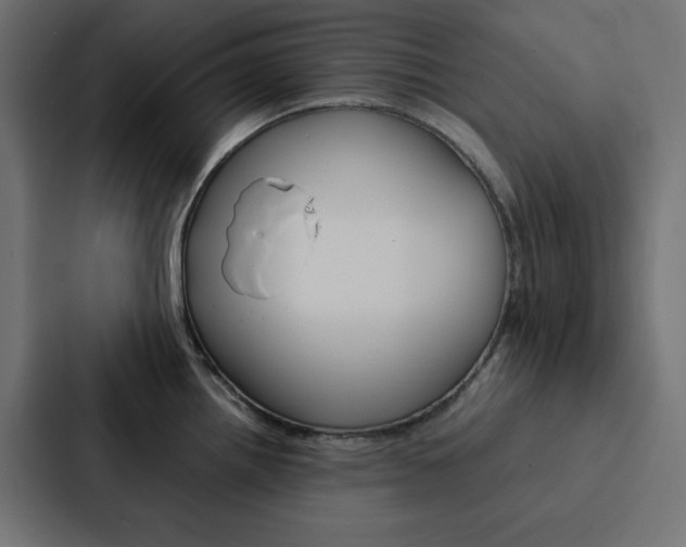 X0000088191242200705150953