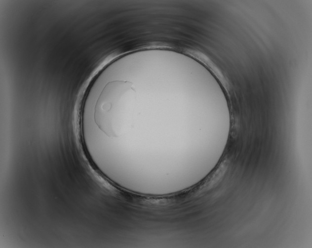 X0000088191243200705150953