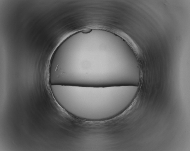 X0000088191244200705150953