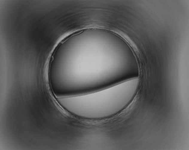 X0000088191246200705150953