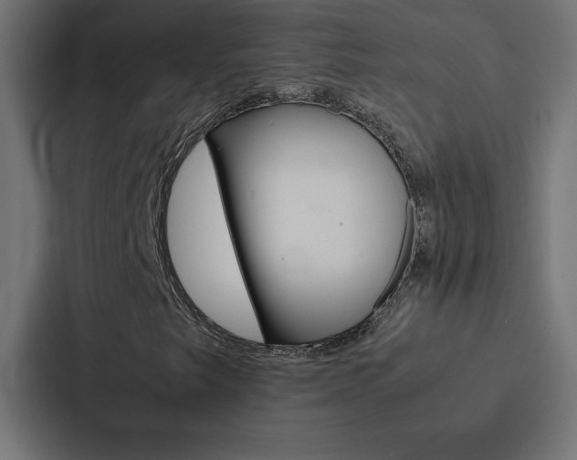 X0000088191249200705150952