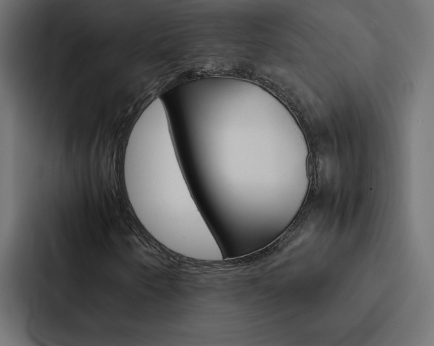 X0000088191250200705150952