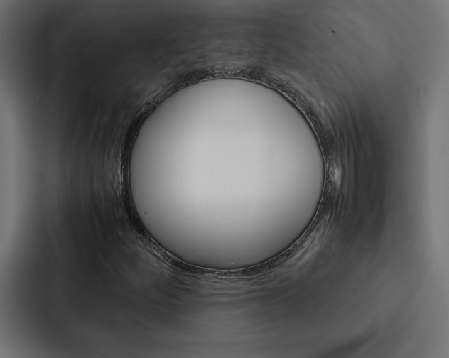 X0000088191252200705150952