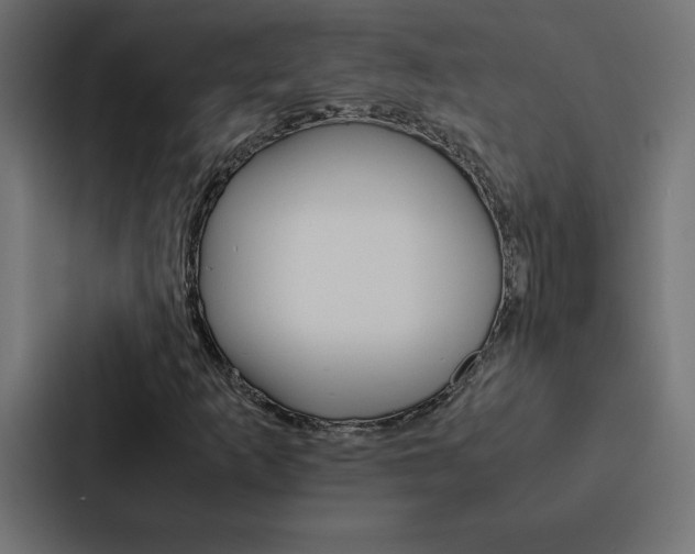 X0000088191253200705150952