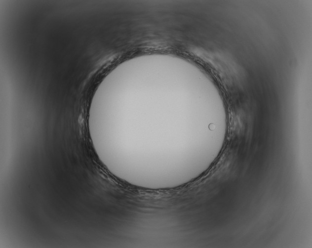 X0000088191254200705150952