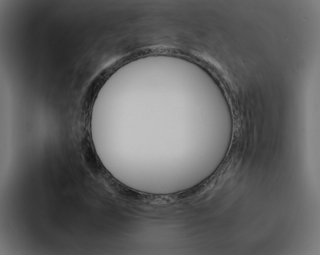 X0000088191255200705150952