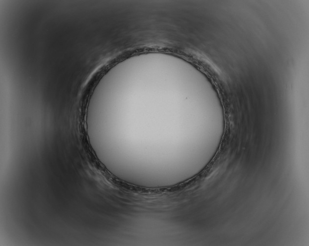 X0000088191256200705150952