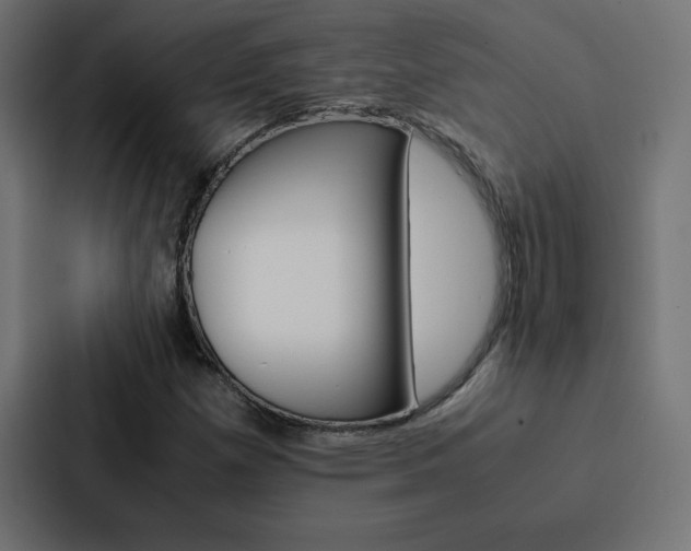 X0000088191257200705150952