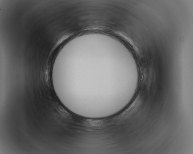 X0000088191258200705150952