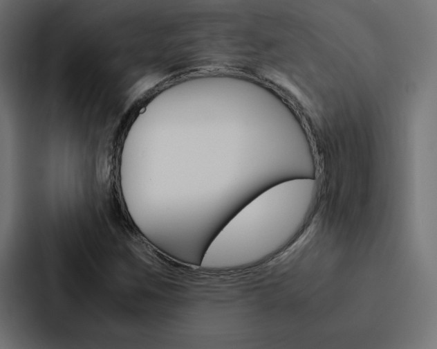 X0000088191259200705150952